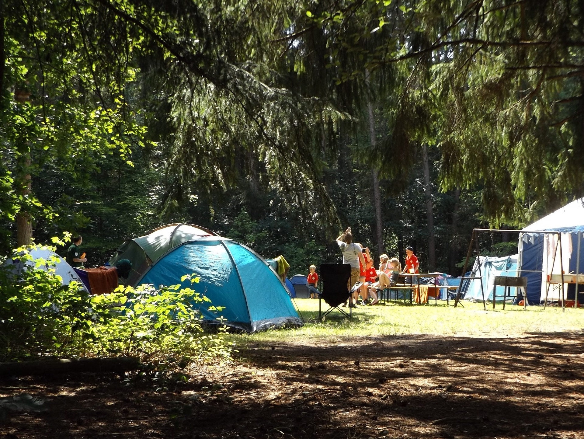 New rules to reduce impact of 'popup' campsites in the New Forest
